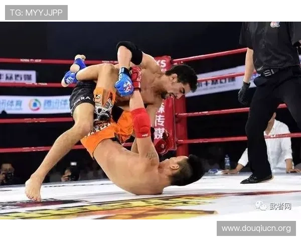 斗球体育苹果版下载完整流程，帮助新手用户顺利下载安装并开启体育盛宴